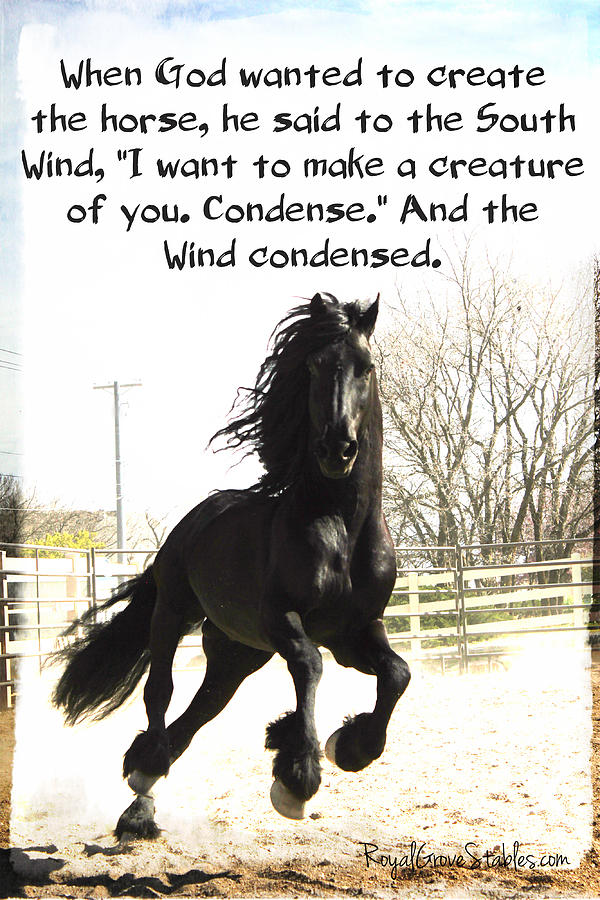 Wind in Your Mist by Carol Whitaker Wind in Your Mist by Carol Whitaker