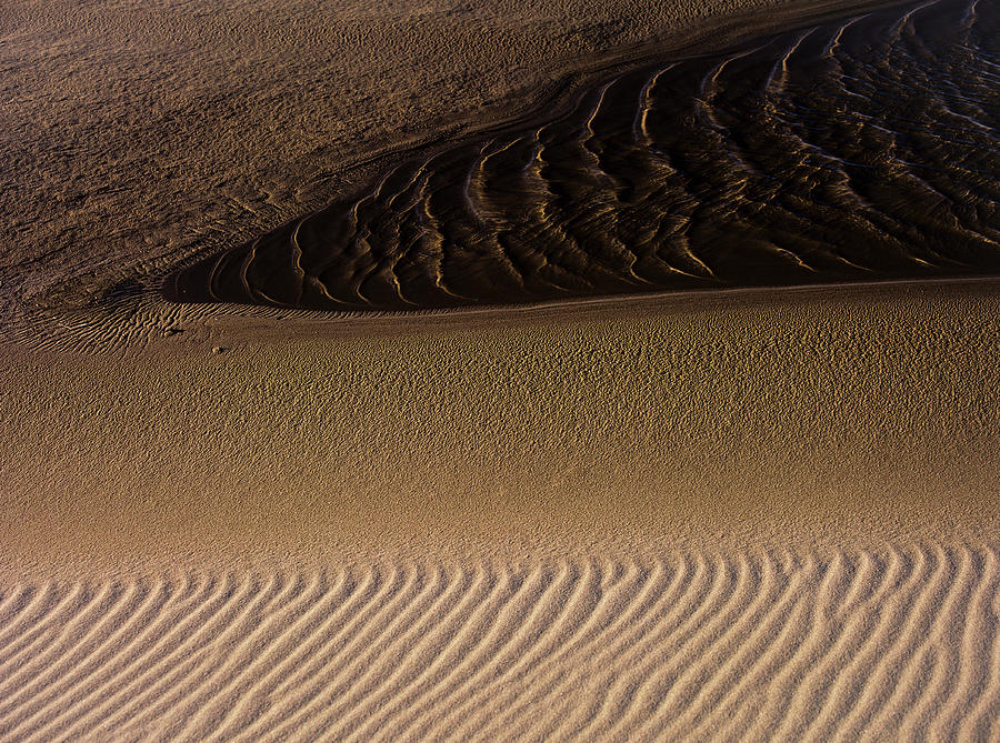Wind Light Water Sand Photograph by Robert Potts