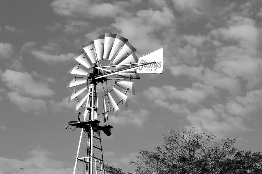 Wind Mill Photograph