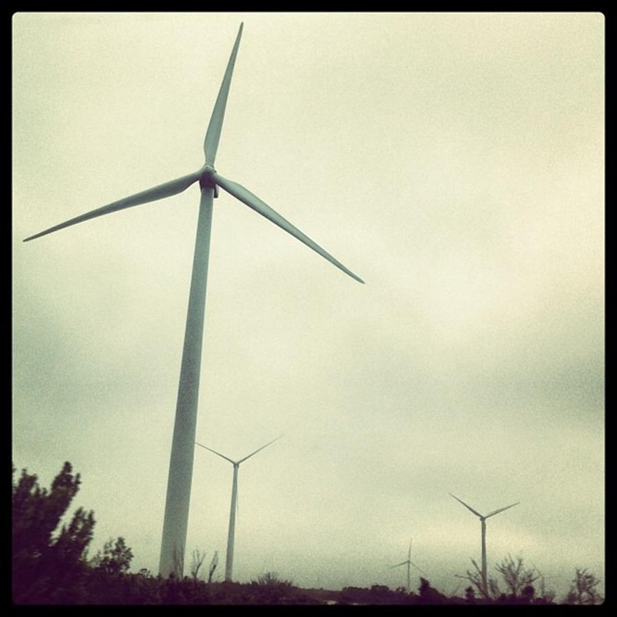 Wind Mills... Didnt Expect To See Photograph by Paula Manning-Lewis