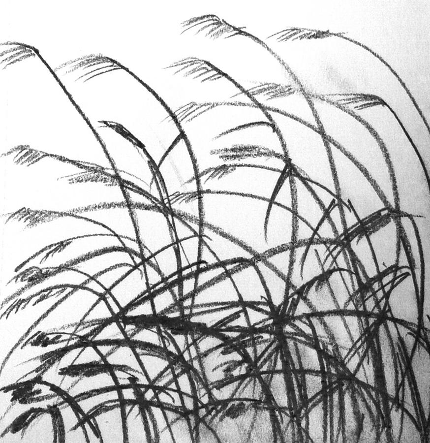 Wind on lakeshore  Drawing by Hae Kim