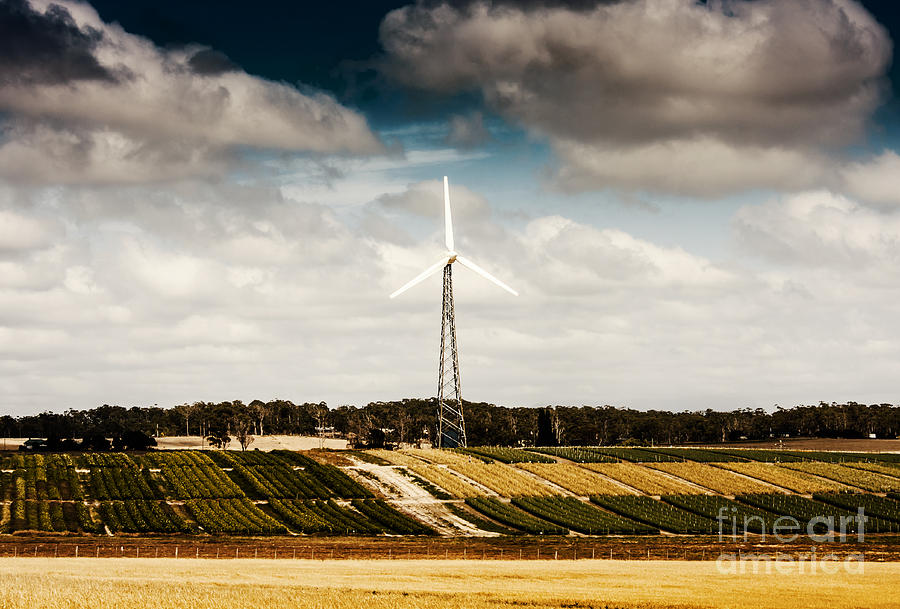 Wind powered turbine on Australian farm landscape Photograph by Jorgo Photography