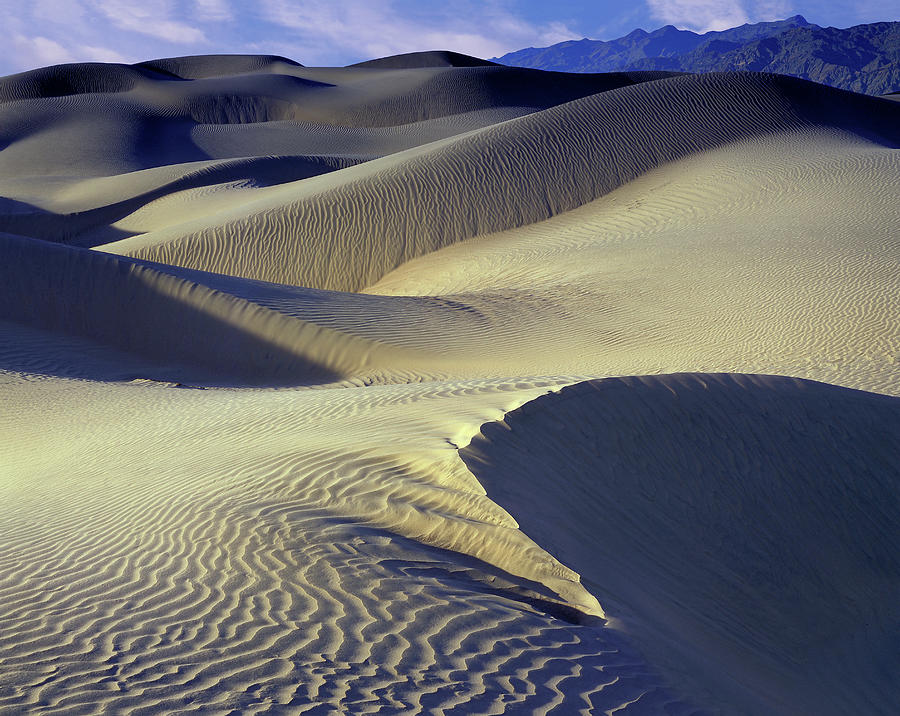 Wind Sculpted Dunes Photograph by John Farley