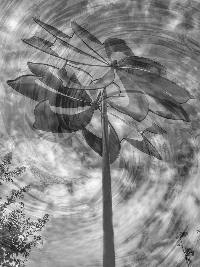 Wind Spinner Photograph by Doris Aguirre