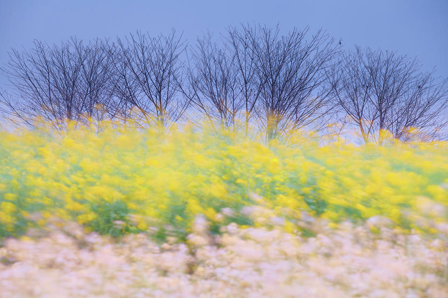 Breeze Photograph - Wind Strokes by Awais Yaqub Breeze Photograph - Wind Strokes by Awais Yaqub