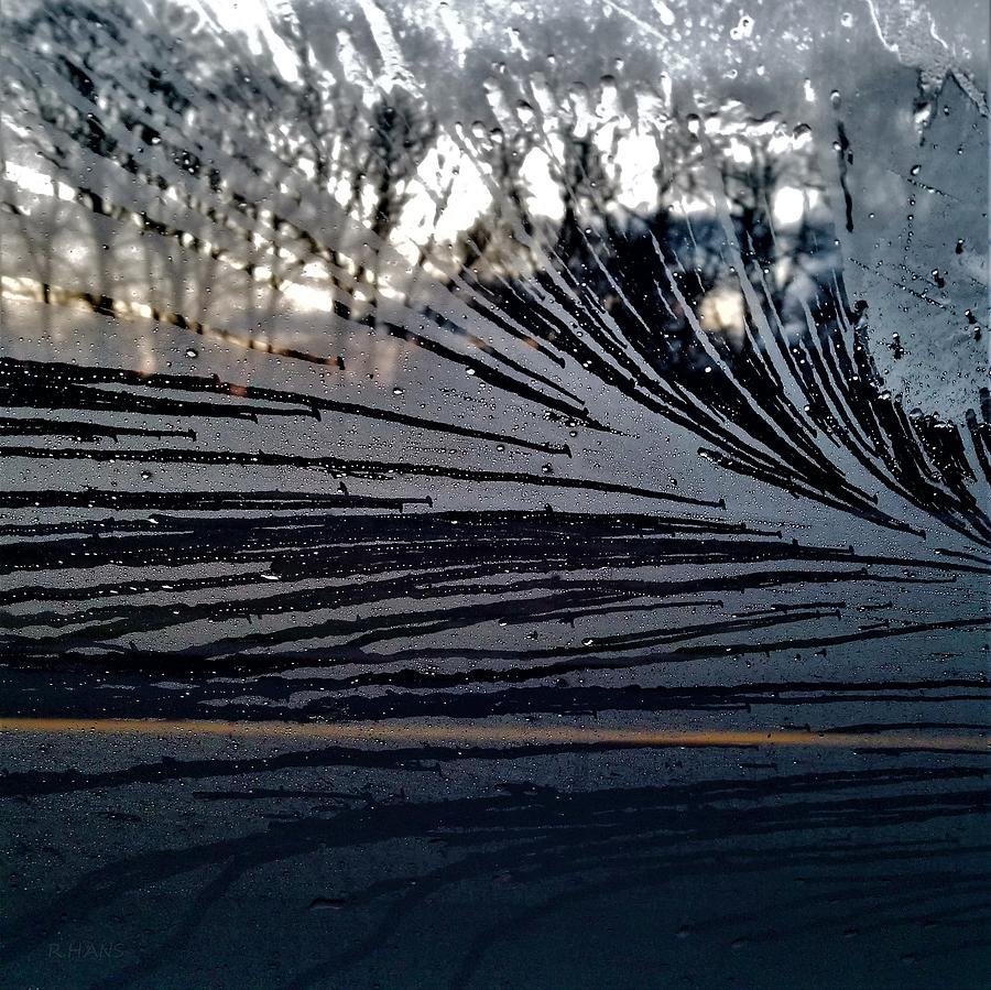 Wind Swept Dew On Nicolls Road, Photograph by Rob Hans