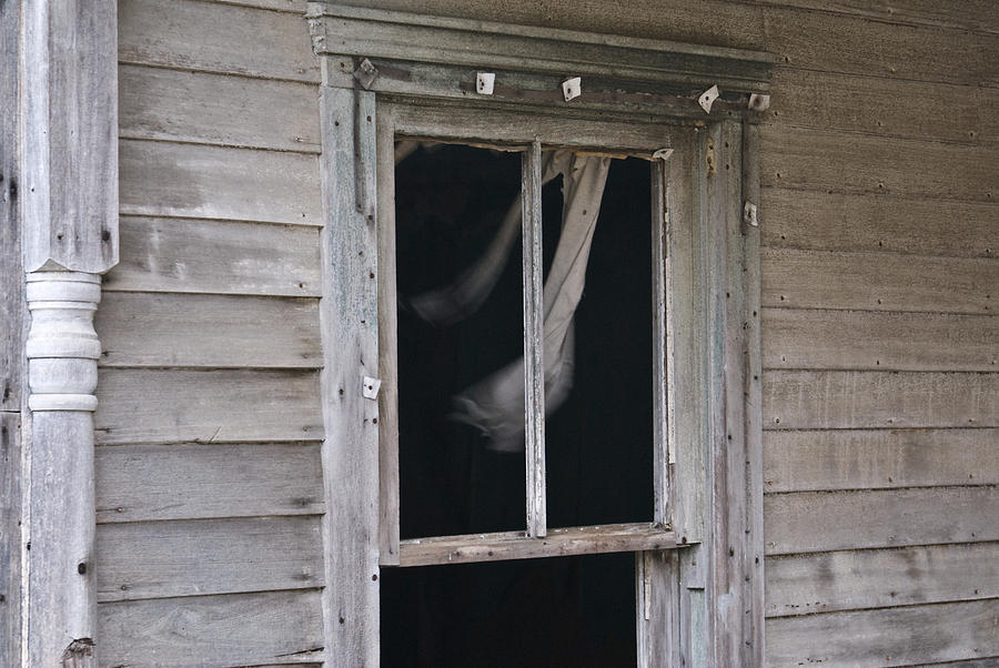 Wind Throught My Window Photograph by Douglas Barnett