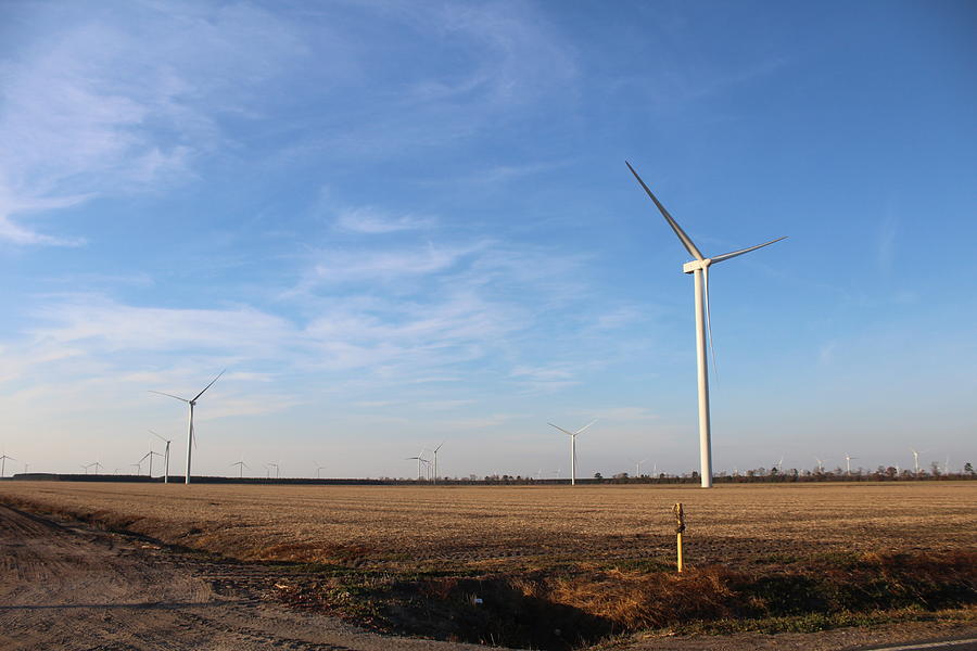 Wind Turbines Photograph
