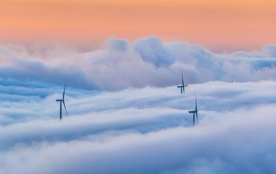 Wind Turbines In Fog Photograph by Marc Crumpler