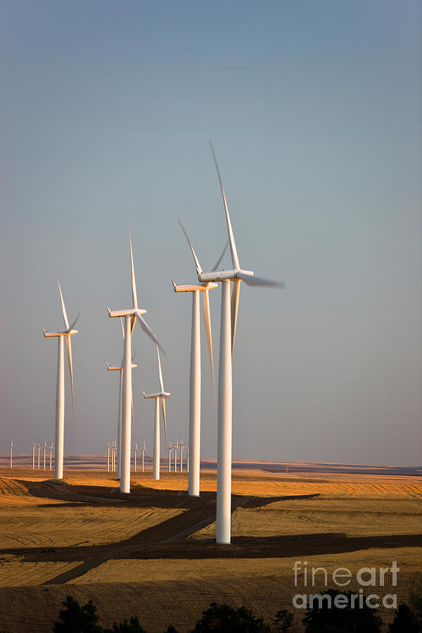Wind Turbines Photograph by Inga Spence