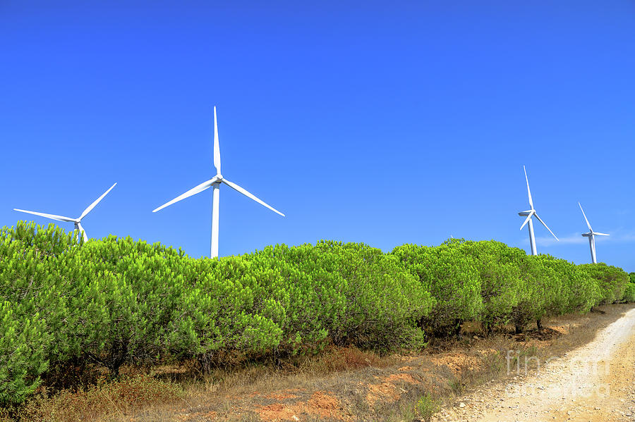 Wind turbines landscape Photograph by Benny Marty