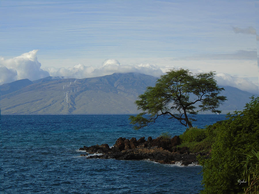 Mountain Photograph - Wind Turbines - Maui by Paulette B Wright
