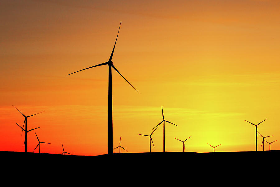Wind Turbines Silhouette Photograph by Todd Klassy