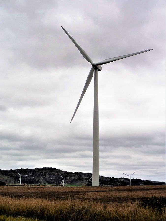 Wind Turbines Photograph by Yolanda Caporn