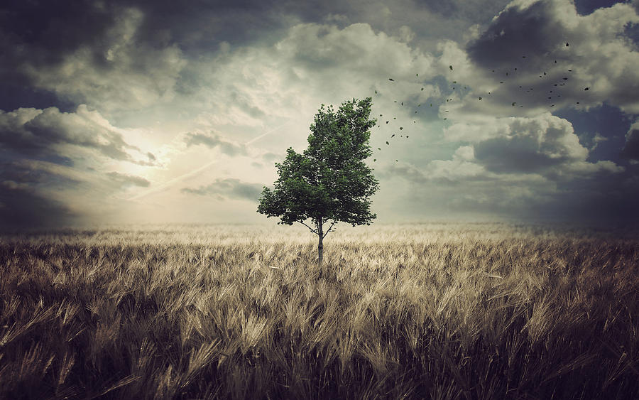 Tree Digital Art - Wind by Zoltan Toth