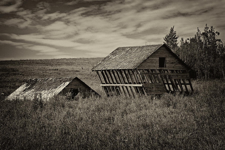 Windblown barns - 365-113 Photograph by Inge Riis McDonald
