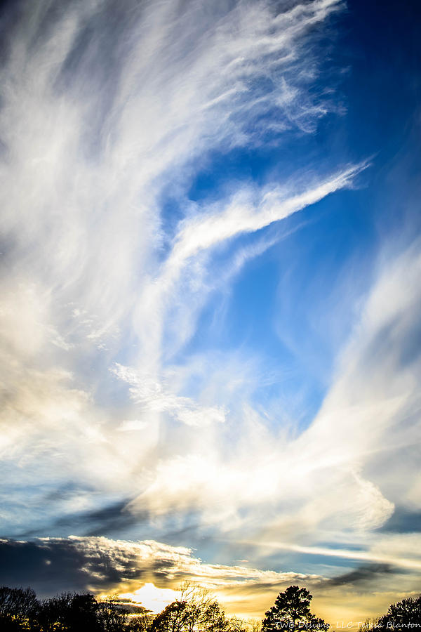 Windblown Sky Photograph by Teresa Blanton