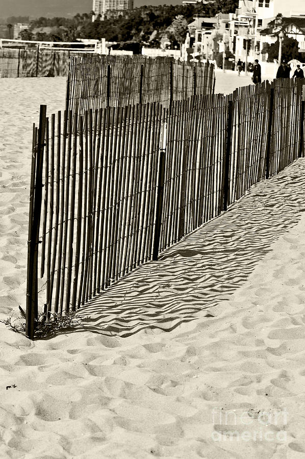 Windbreak On The Beach 2 Photograph