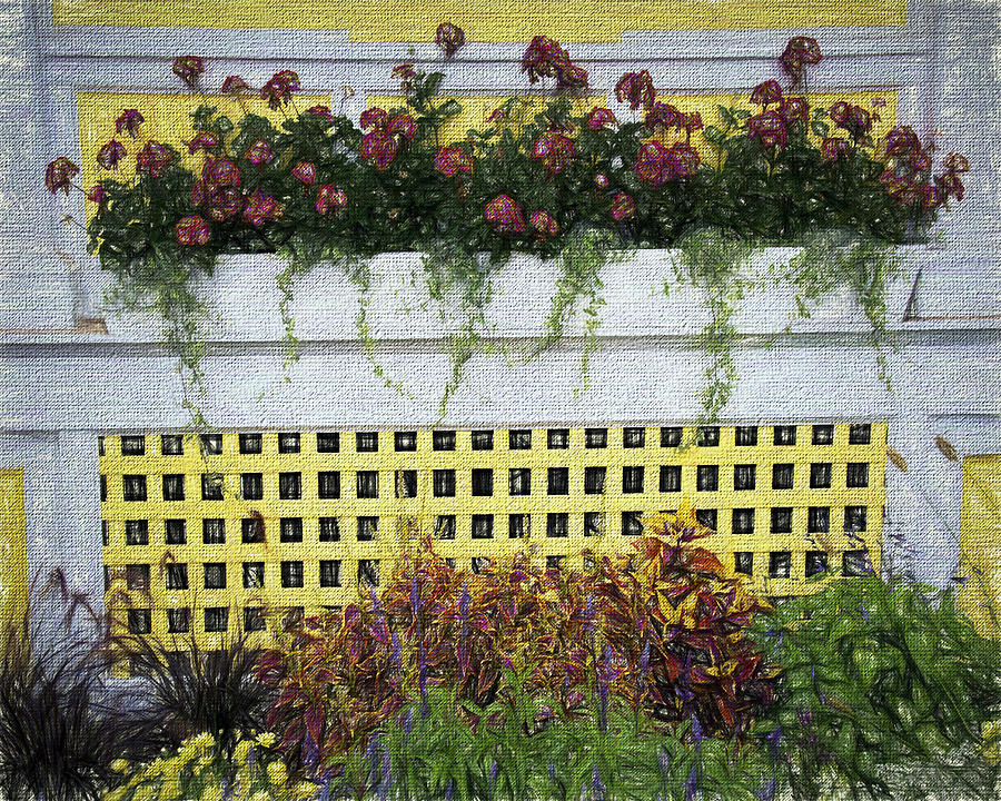 Windermere Hotel Flower Box Photograph