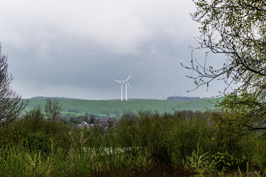 Windfarm Through The Trees Photograph by Scott Lyons