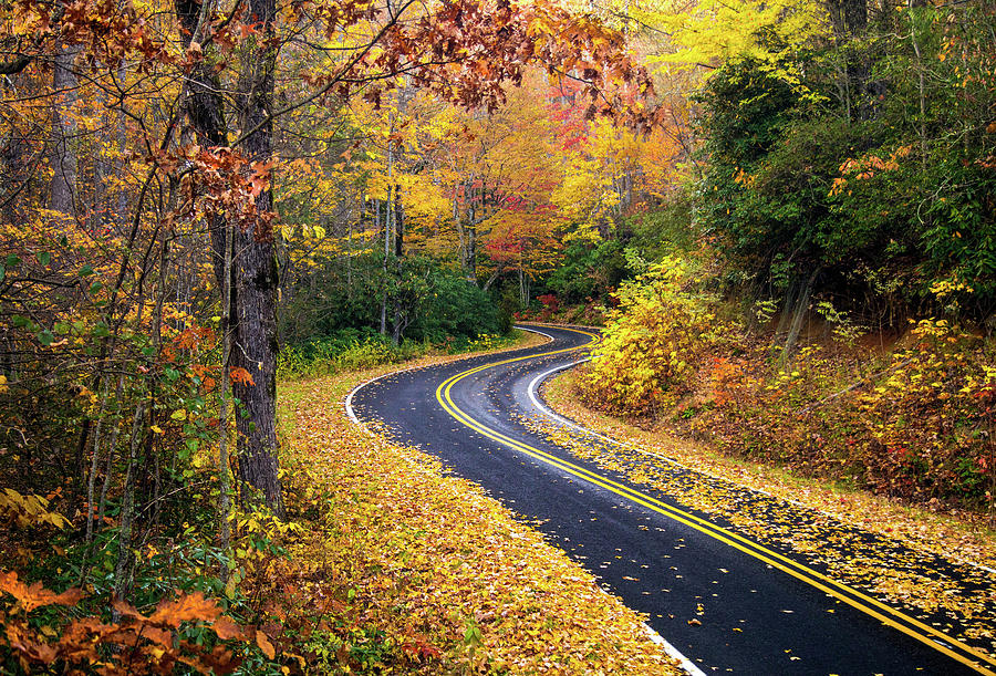 Winding Autumn path Photograph by Jared Kay | Fine Art America