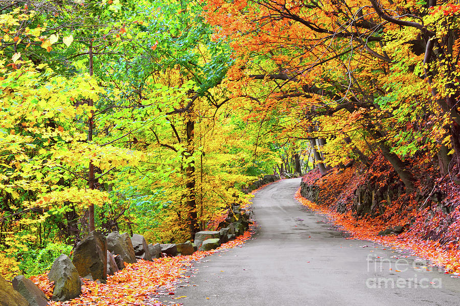 Fall Photograph - Winding Autumn Road NJ Palisades by Regina Geoghan