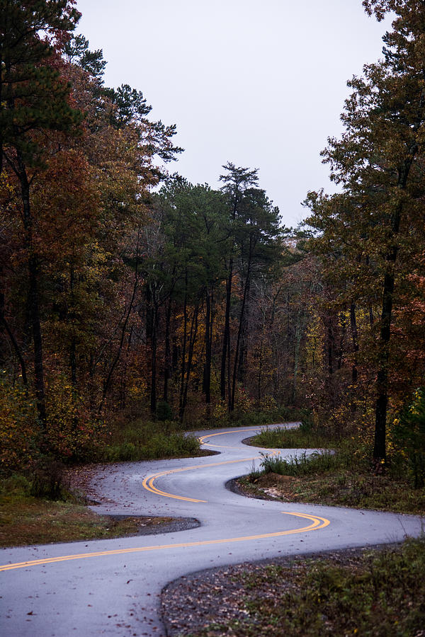 Winding Autumn Road Photograph by Parker Cunningham
