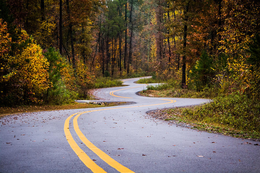 Fall Photograph - Winding Autumn Roads by Parker Cunningham