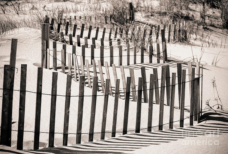 Winding Beach Fences in Sepia Photograph by Colleen Kammerer