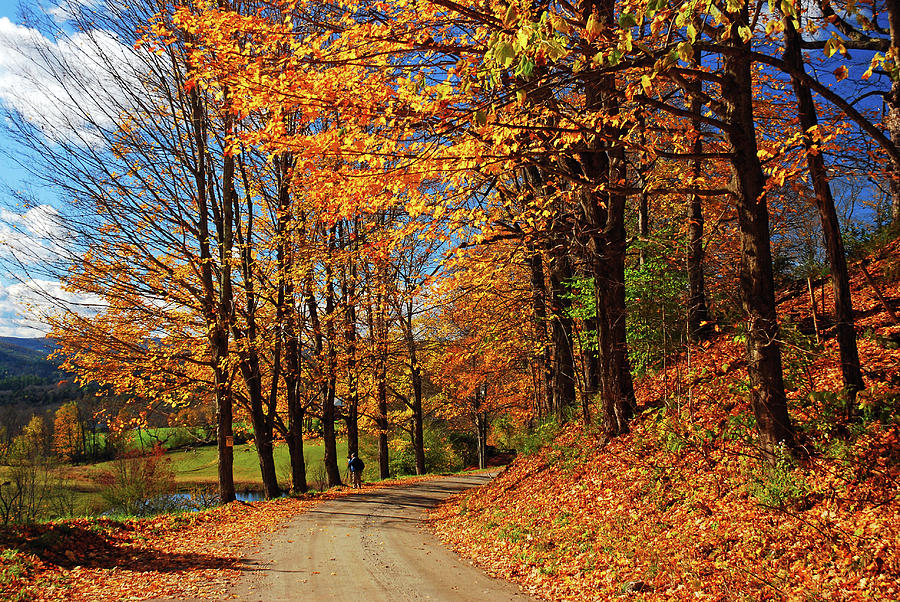 Winding Country Road in Autumn Photograph by James Kirkikis