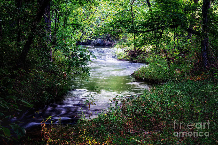 Winding Creek at Chickasaw National Recreation Area in Horizontal Photograph by Tamyra Ayles