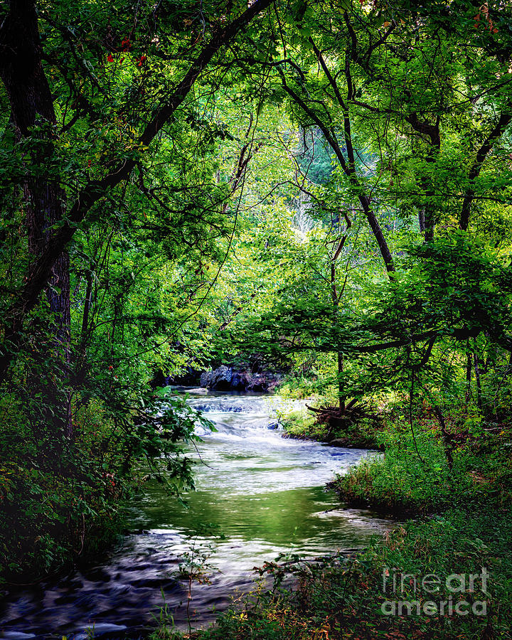 Winding Creek at Chickasaw National Recreation Area in Vertical Photograph by Tamyra Ayles