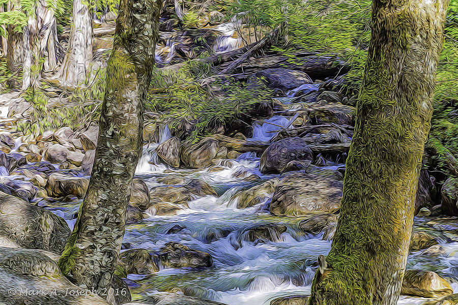 Winding Creek Photograph by Mark Joseph