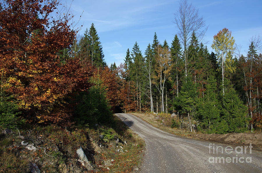 Bend Photograph - Winding gravel road at fall by Kennerth and Birgitta Kullman