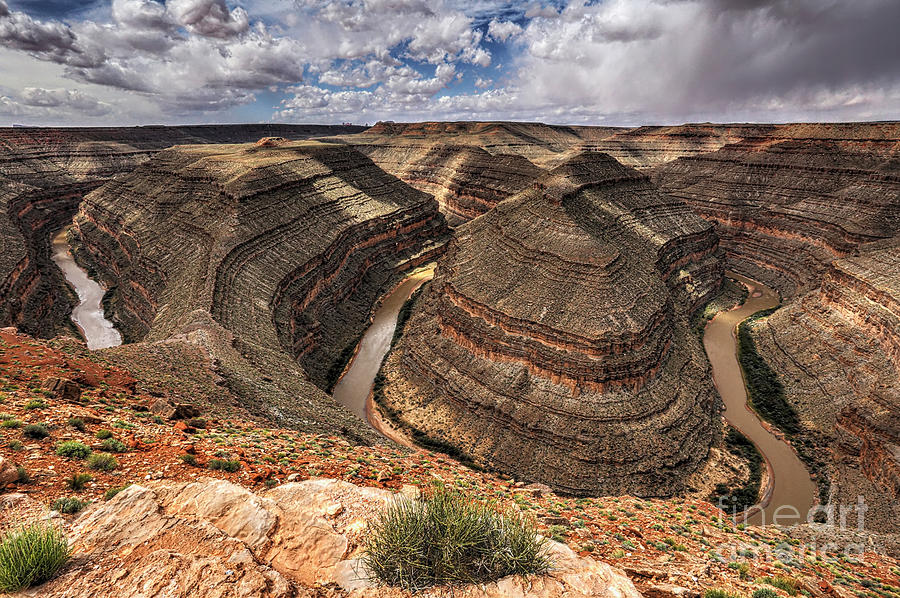Desert Photograph - Winding Goosenecks by Joan McCool