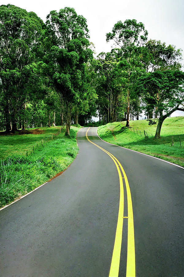 Road Photograph - Winding Kula Road by Nature Photographer