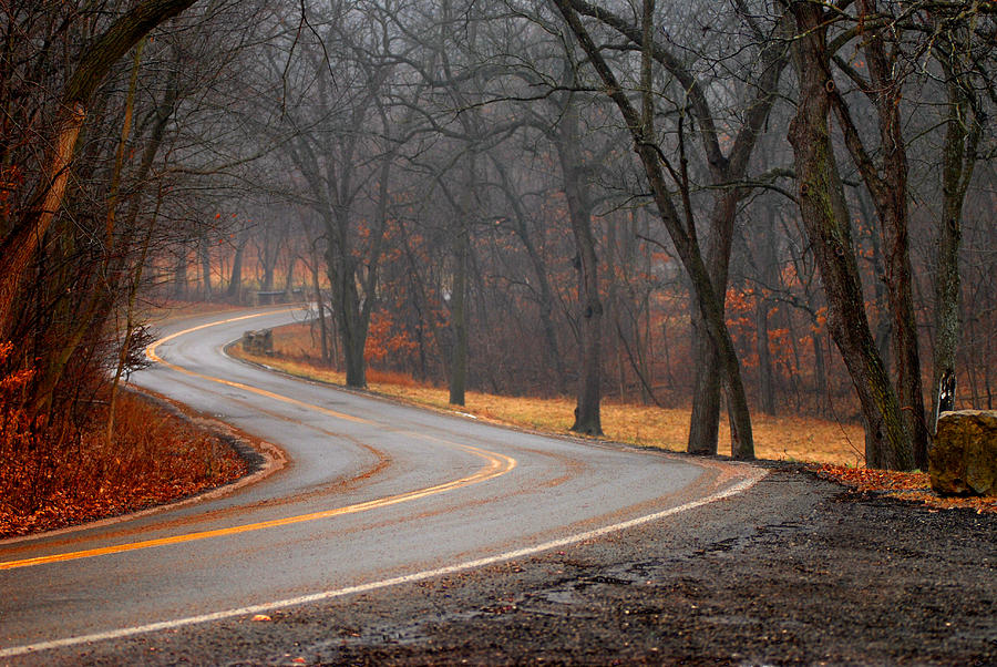 Winding Misty Road Photograph by Don Wolf