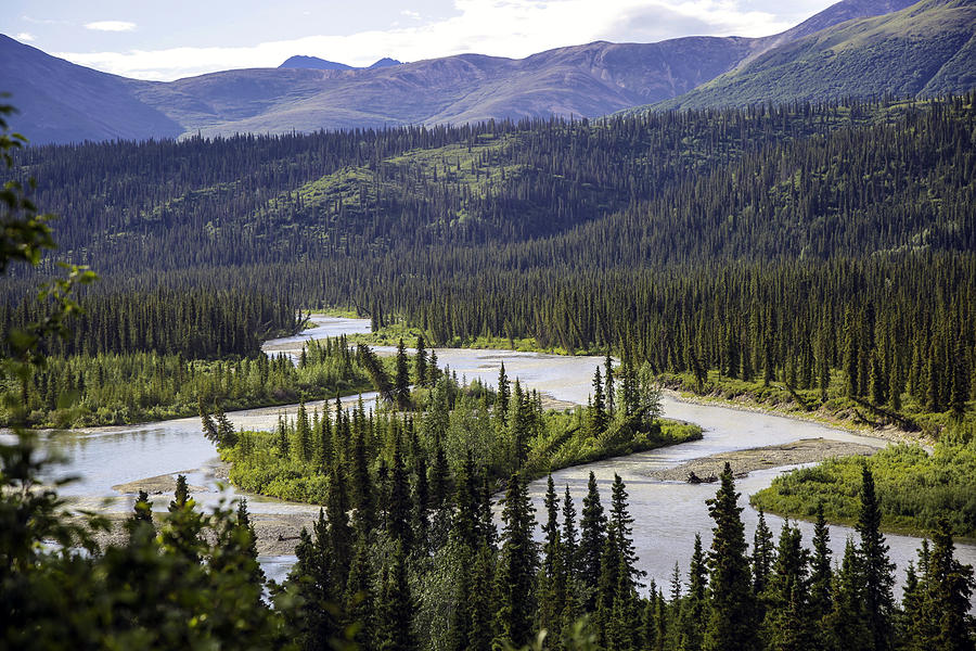 Winding River In Alaska Photograph by Madeline Ellis