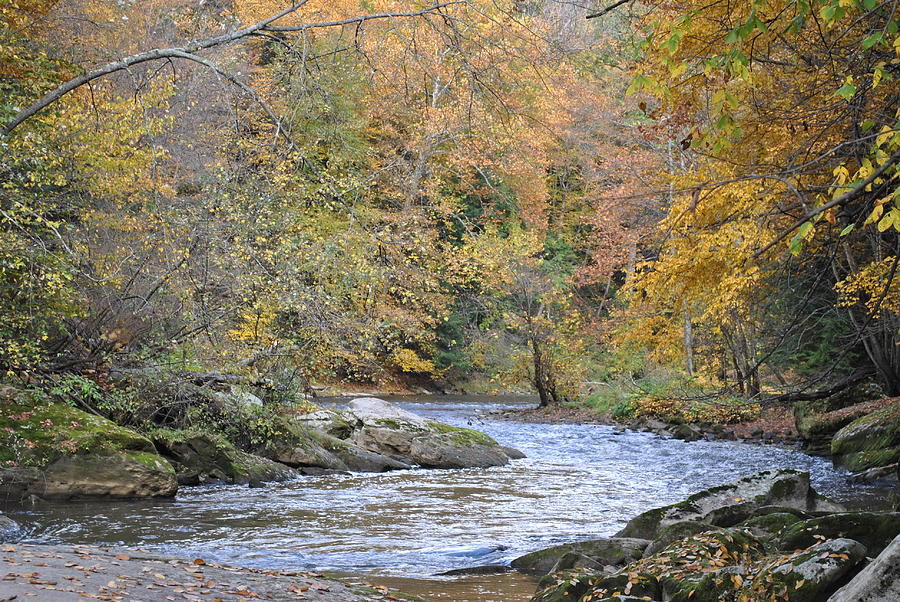 Winding River Photograph by Todd Gibbs - Fine Art America