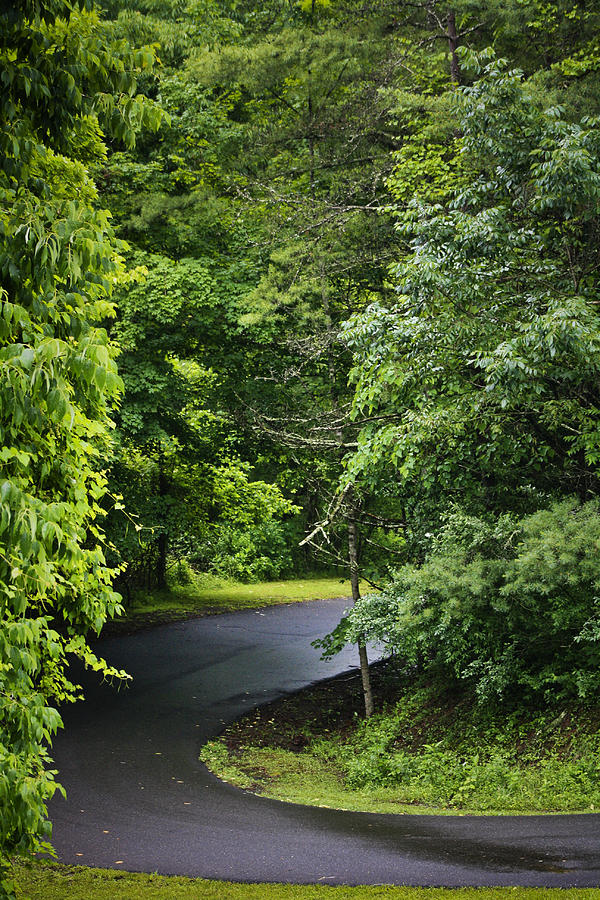 Tree Photograph - Winding Road Bluestone State Park West Virginia by Teresa Mucha