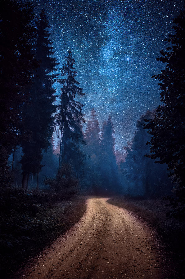 Night Photograph - Winding Road by Hendrik Mandla
