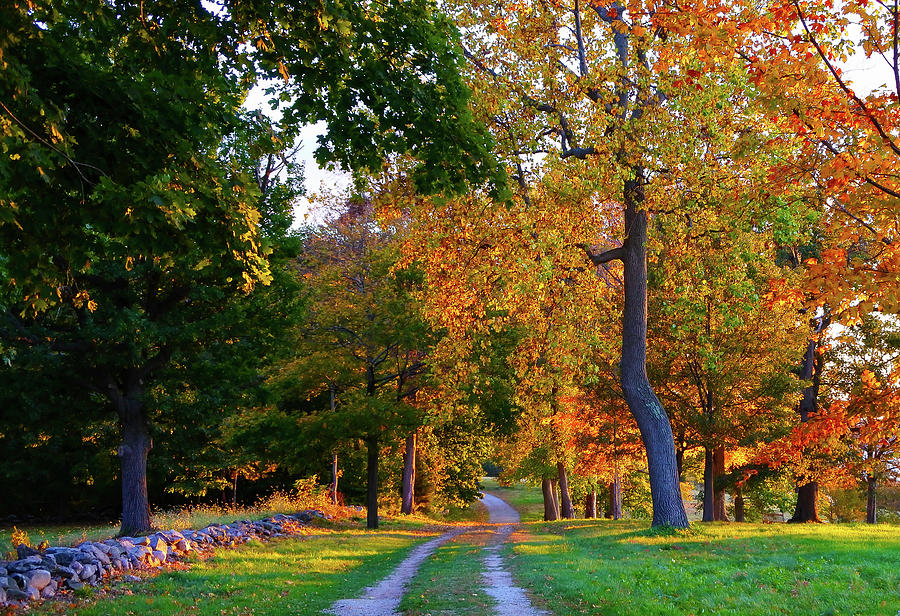 Winding Road In Autumn by John Forde Winding Road In Autumn by John Forde