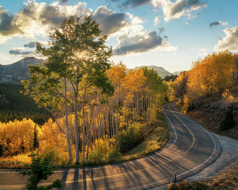 Winding Road Through Big Cottonwood Canyon Photograph