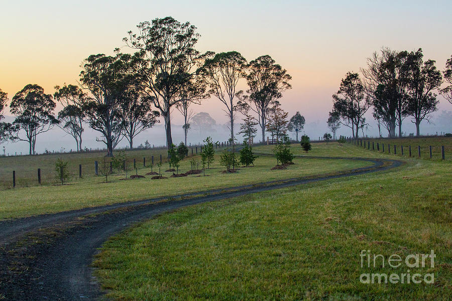 Winding road through paddock at dawn Photograph by Sheila Smart Fine Art Photography