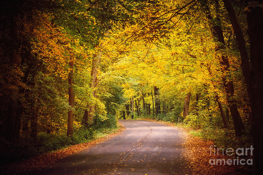 Winding Roads And Fall Foliage Photograph