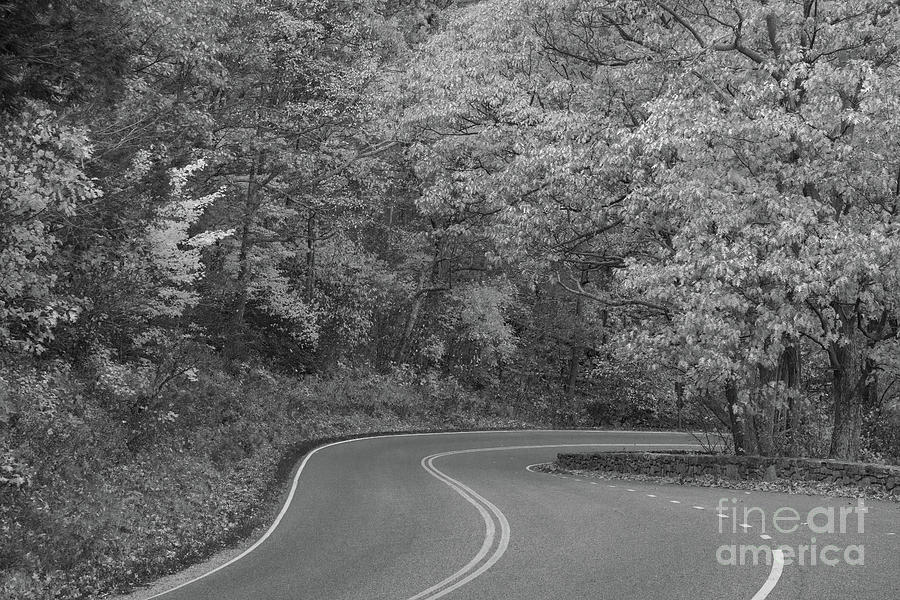 Winding Roads of Skyline Drive  Photograph by Michael Ver Sprill