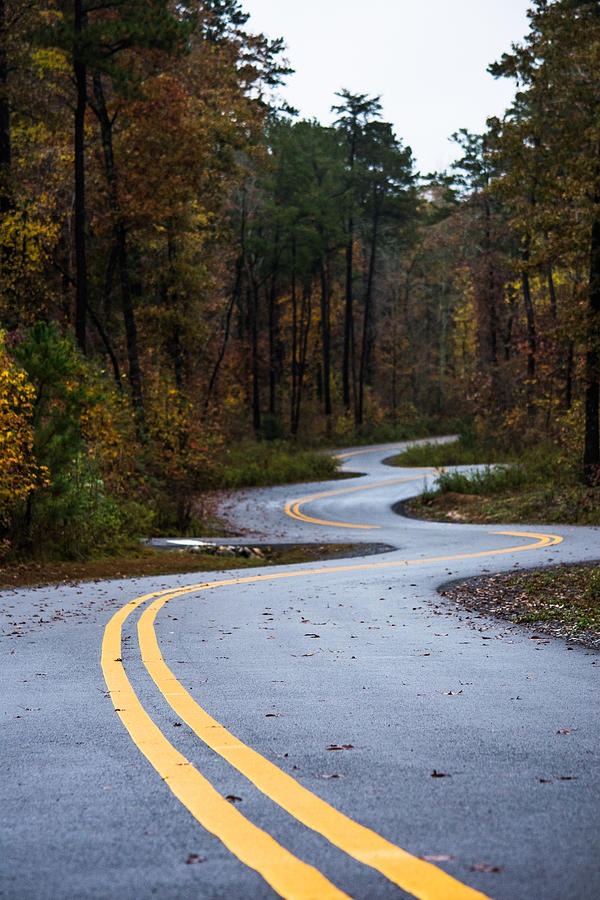Winding Roads Photograph by Parker Cunningham