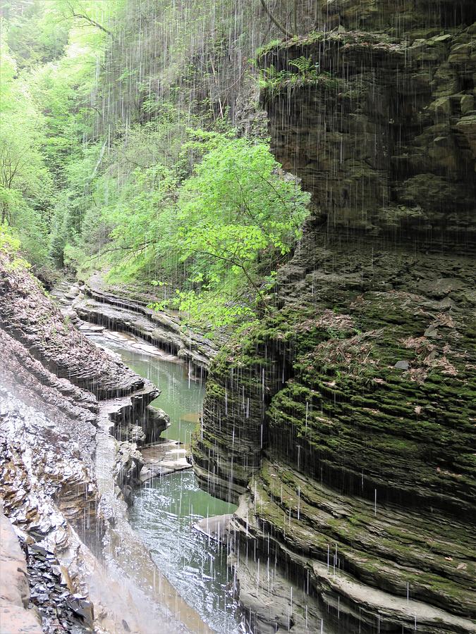 Waterfall Photograph - Water Falling Throughout the Gorge by Carol McGrath