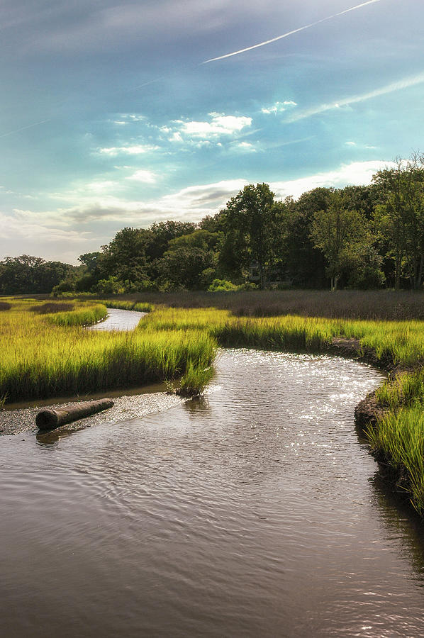 Summer Photograph - Winding Tidal Creek by DCat Images