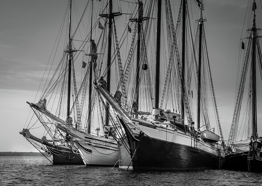 Boat Photograph - Windjammer Fleet by Fred LeBlanc